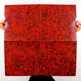 Frankie "ZAM" Double LP + Flexi